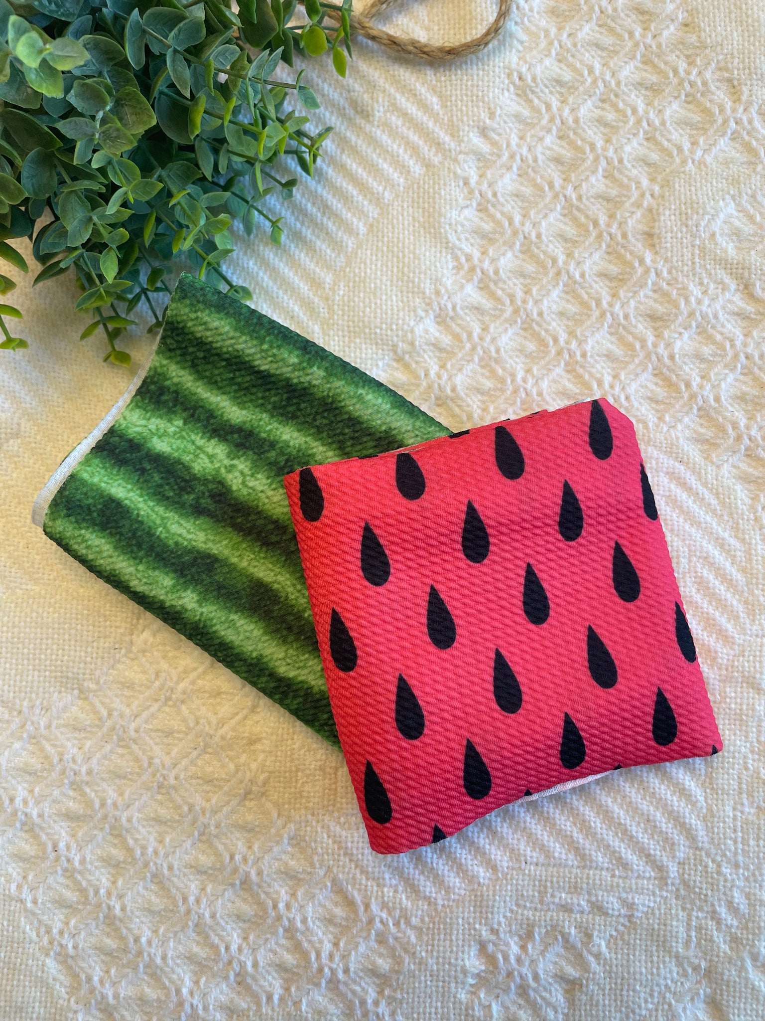 Watermelon Mixed Piggie Set (Seed/Rind)